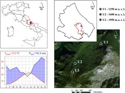 Wood Anatomical Responses of European Beech to Elevation, Land Use Change, and Climate Variability in the Central Apennines, Italy